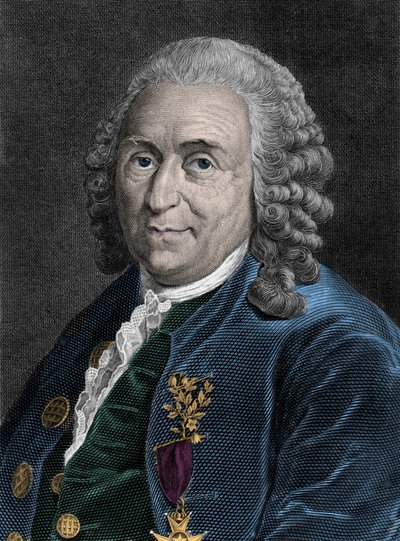 スウェーデンの博物学者、シャルル・リンネ（Carl von Linne, Linneus 1707-1778）の肖像。19世紀のエングレーヴィング。 作： Unknown artist
