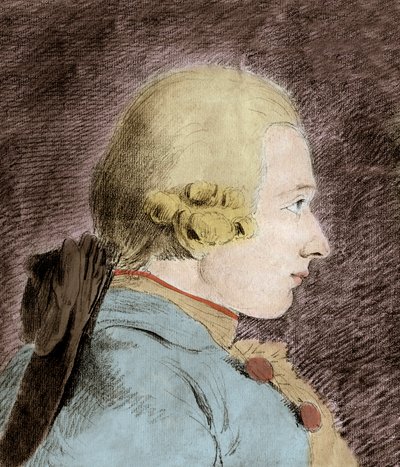 ドナティアン・アルフォンス・フランソワ・ド・サド（1740-1814）（サド侯爵）の肖像 - ヴァン・ローの後に 作： Unknown artist