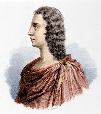 Gaetano Majorano dit Caffarelli (1710 -1783)の肖像。 作： Unknown artist