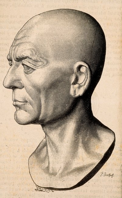 ローマの政治家であるPublius Cornelius Scipio (Scipio the African) Africanus（紀元前235-183年）の肖像。 作： Unknown artist