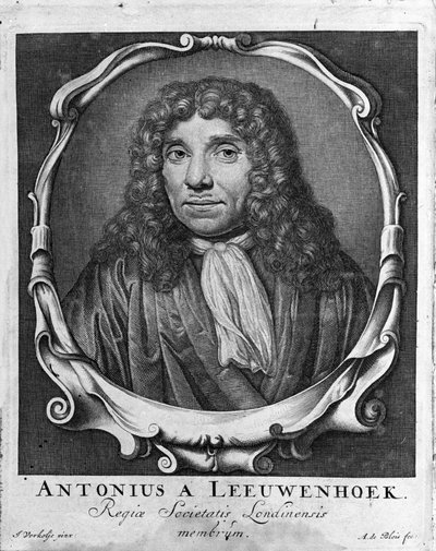 オランダの貿易商で学者のAntoine van Leeuwenhoek (or Leeuvenhoek Leeuwenhoeck) (or Antoni or Anthonie) (1632-1723)の肖像 1722年の "Investigatio Arcanorum "からのエングレーヴィング。 作： Unknown artist