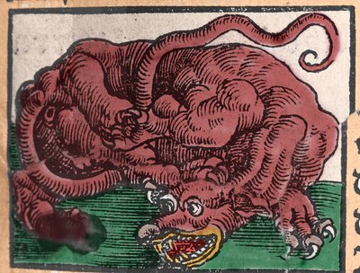 ドラゴンの表現。ヨハン・シュトゥンプフの「Den Edlen Strength Besten Fromen」からのエングレーヴィング。1550 作： Unknown artist