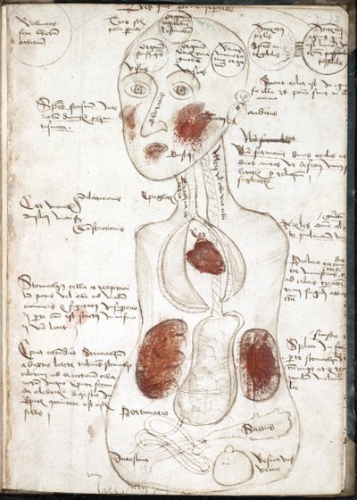 アリストテレスの意識の理論の表現（『De corpore et anima』より） - Anonymous - 1497 - 羊皮紙に水彩画 - 22x15,8 - John Rylands University Library 作： Unknown artist