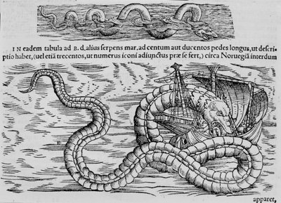 コンラッド（＝コンラッド）・ゲスナーにちなんだ海洋生物「ウミヘビ 作： Unknown artist