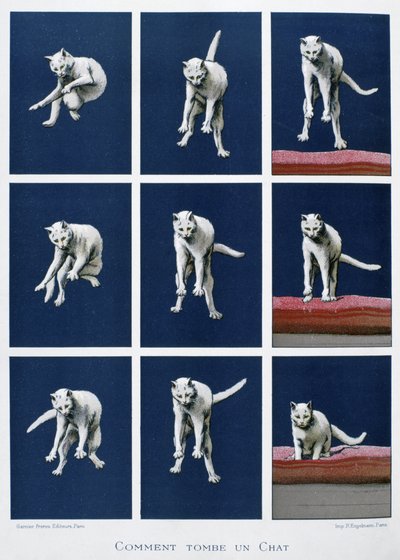 落下する猫の連続額 1895年頃（版画） 作： Unknown artist