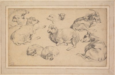 羊、山羊、犬の研究シート 作： Unknown artist
