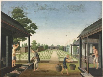 布を紡ぐ, 茶葉を準備する, 絹を準備する 作： Unknown artist
