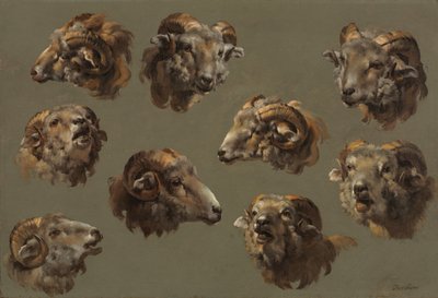 ラムヘッドの研究 作： Unknown artist
