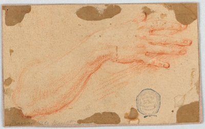 女性の右前腕と手の研究 作： Unknown artist
