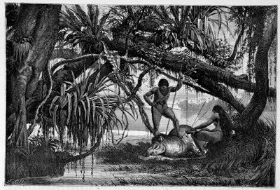 ブラジルのインディアンに殺されたバク - 「世界一周」1874年2学期号より 作： Unknown artist