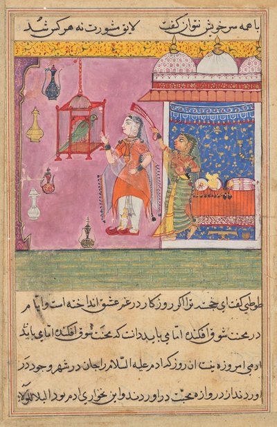 オウムは、トゥティーナマ (オウムの物語) から、19 番目の夜の初めに Khujasta に話しかけます。 作： Unknown artist
