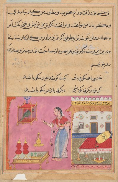 オウムはトゥティーナマ (オウムの物語) から、20 番目の夜の初めに Khujasta に話しかけます。 作： Unknown artist