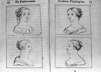異なる女性の横顔 エルネスト・ヴェニオ（Ernestus Vaenius）が匿名の相手に創造物の美しさを弁護する「Tractatus physiologicus de pulchritudine」から引用したページ。1612 作： Unknown artist