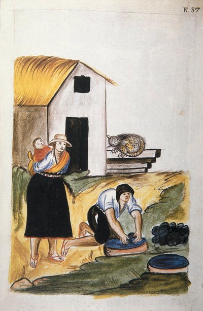 トルヒーヨ司教バルタサル・マルティネス・コンパニオン・イ・ブジャンダ（1782-1785）の著書「トルヒーヨ・デル・ペルー」（「Códice Martínez Compañón」）より、羊毛の染色について。 作： Unknown artist