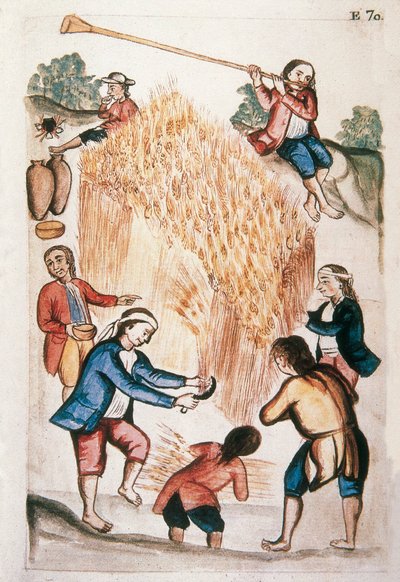トルヒーヨ司教バルタサル・マルティネス・コンパニオン・イ・ブジャンダ（1782-1785）の著書「トルヒーヨ・デル・ペルー」（「Códice Martínez Compañón」）に掲載されている収穫の様子。 作： Unknown artist