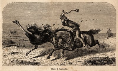 ウィリアム・チャールズ・ボールドウィンが1852年から1860年の間に行ったアフリカでの狩猟の物語を説明するために、写真から描かれたダチョウ狩りの様子。エドゥアール・シャルトン編『Le tour du monde』に掲載されている図版 作： Unknown artist