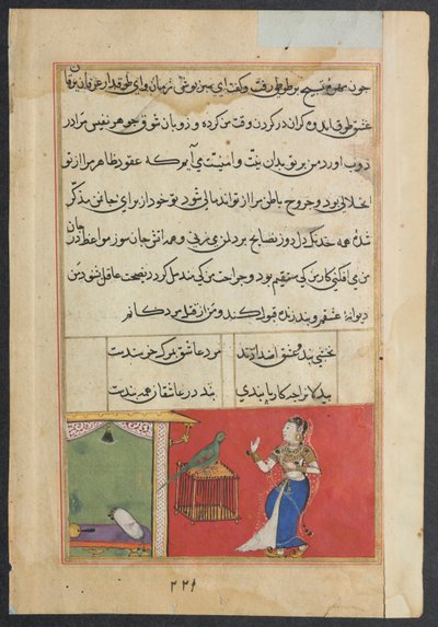 オウムは、Tuti-nama (オウムの物語) から、第 47 夜の初めに Khujasta に話しかけます。 作： Unknown artist