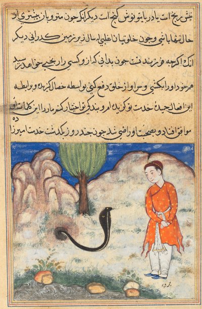 Sistan の支配者の息子である王子は、Tuti-nama (オウムの物語) から蛇に仕える: 第 37 夜 作： Unknown artist