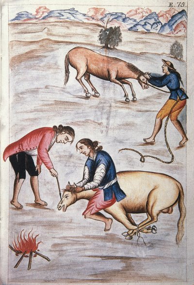 トルヒーヨ司教バルタサル・マルティネス・コンパニオン・イ・ブジャンダ（1782-1785）の著書「トルヒーヨ・デル・ペルー」（「Códice Martínez Compañón」）に掲載されている雌馬の赤い鉄製の焼印 作： Unknown artist