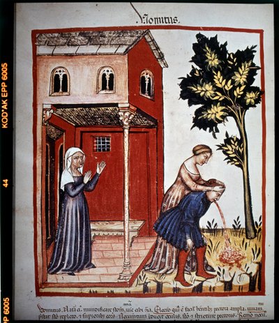 14世紀の医学論文 "Tacuinum sanitatis"：嘔吐。B.N、ウィーン。 作： Unknown artist