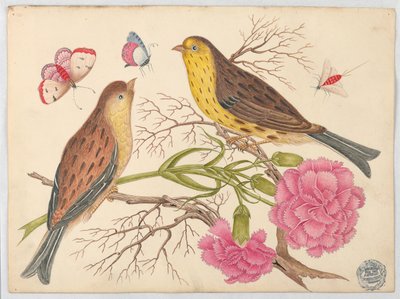 カーネーションと昆虫の枝に 2 羽の茶色と黄色の鳥 作： Unknown artist