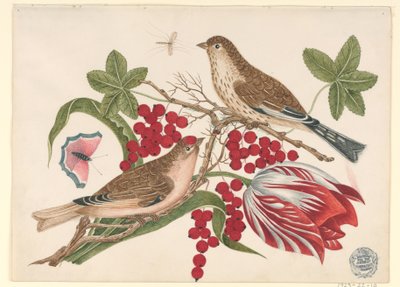 チューリップ、果実、昆虫と枝に 2 羽の茶色の鳥 作： Unknown artist