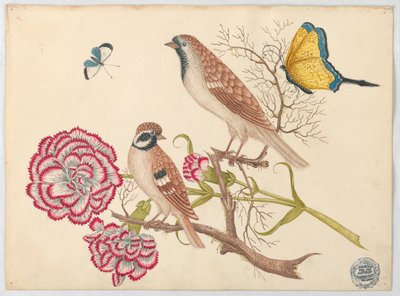 カーネーションと蝶と 2 つの茶色の鳥 作： Unknown artist