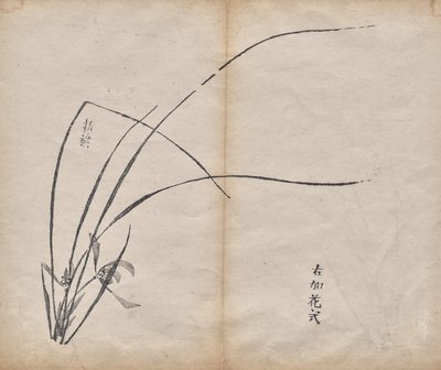 無題 作： Unknown artist