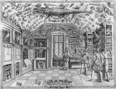薬剤師フェランテ・インペラート(1550-1631)の珍品博物館(百科事典博物館)の眺め。1678年のエングレーヴィング。ナポリの薬師フェランテ・インペラートの博物館。 作： Unknown artist