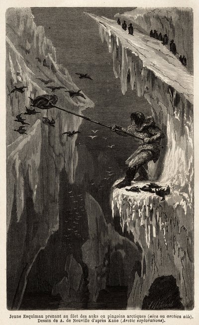 北極ペンギンを捕まえる若いエスキモー。1860年から1862年にかけて、アメリカ海軍の外科医ヘイズが行った北極圏の自由海への航海を描いたもので、エドゥアール編集の「Le tour du monde, nouveau journal des voyages」に掲載されています。 作： Unknown artist