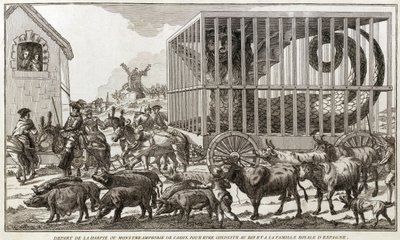 Zoomorphism - Caricature against Mary - Antoinette - スペインの王と王室に連れて行くために、カディスのハーピーまたは水陸両用の怪物から出発した。この動物はファグア湖畔で捕獲された - 1784年 - 。 作： Unknown artist