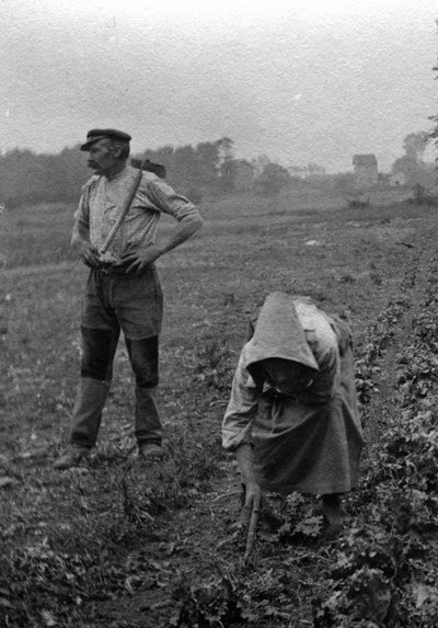 畑仕事をする農民のカップル、ソンム、1921年 写真（畑仕事をするフランスの農民、ソンム、1921年） 個人蔵 作： 未知の写真家