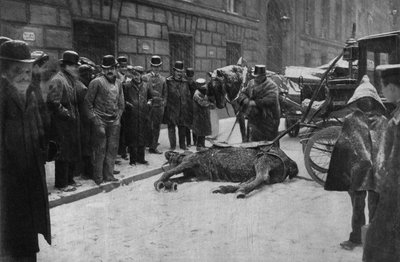 パリの街角での連結馬の死。写真、19世紀後半、パリ。Coll.Selva. 作： Unknown photographer