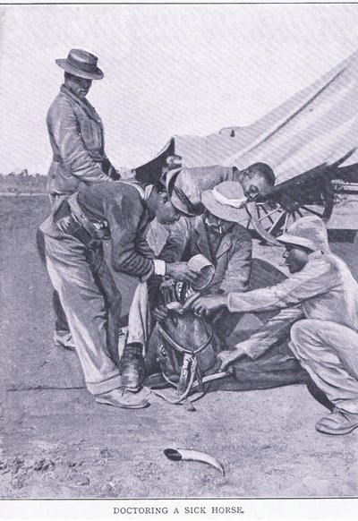病気の馬を治療する様子（ハームズワース・ブラザーズ社刊『After Pretoria: The Guerilla War』より 作： Unknown photographer