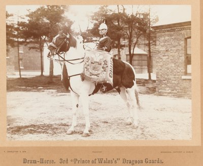 「ドラムホース、第3近衛竜騎兵隊」、1895年頃 作： Unknown photographer