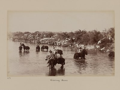 演習のデリー・キャンプで馬に水をやるインドの騎兵たち 作： Unknown photographer