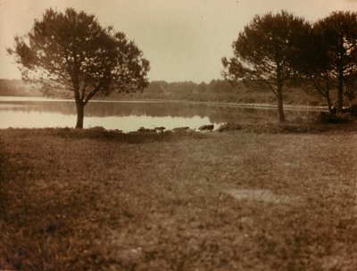 ブリジュニ諸島の風景 作： Unknown photographer