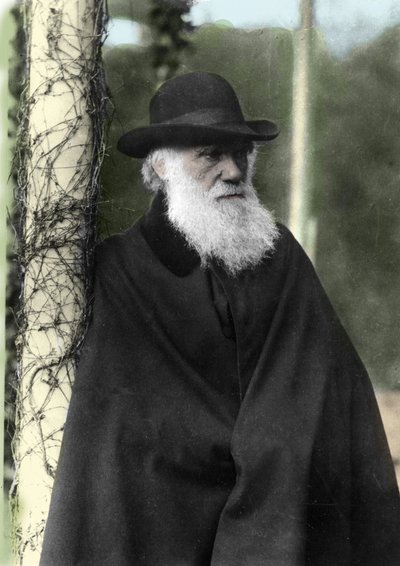 1881年、イギリスの博物学者チャールズ・ダーウィン（1809-1882）の写真。 作： Unknown photographer