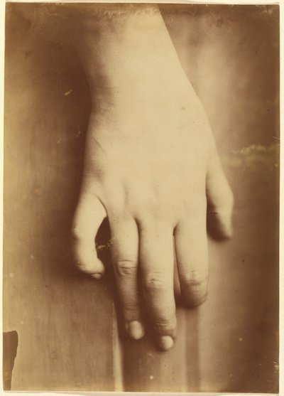 手の習作、1865年（写真） 作： 未知の写真家