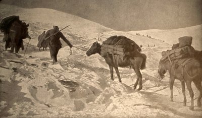 フランスとイタリアの陣地は海抜2メートル以上の積雪がある。 作： Unknown photographer