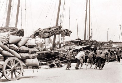 1880年頃の香港の港。 作： Unknown photographer