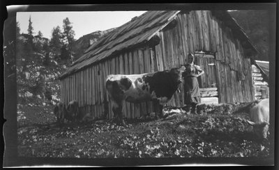グルンドル湖のゲスル近郊にあるアルプス小屋のあるフォーダーバッハアルム（山の牧草地 作： Unknown photographer