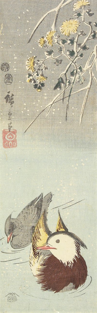 （菊と北京ダック）、1854年2月 作： Utagawa Hiroshige