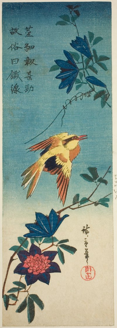 （模写？）ナナカマドウとクレマチス 作： Utagawa Hiroshige