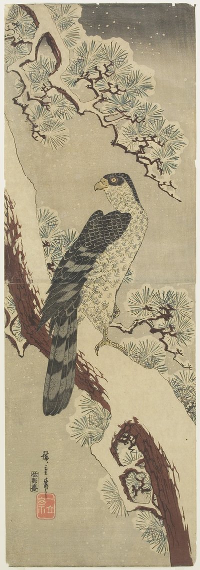 （冬の松の枝の鷹）、19世紀初頭 作： Utagawa Hiroshige
