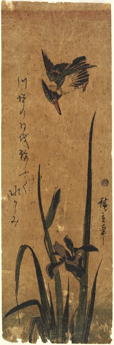 （アイリスとカワセミ）、1830-1858 作： Utagawa Hiroshige