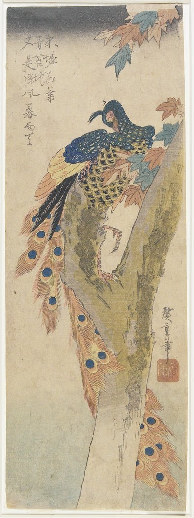 （メープルツリーの孔雀）、19世紀初頭 作： Utagawa Hiroshige
