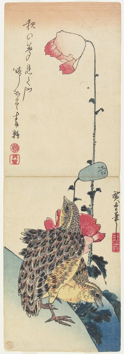 （ウズラとポピー）、1830-1858 作： Utagawa Hiroshige