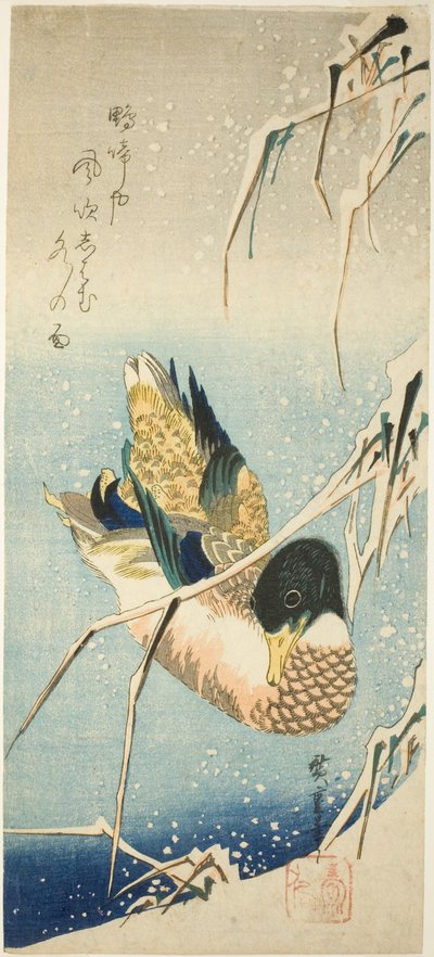 雪に覆われた葦の下の雪に覆われた堤防で泳ぐ鴨 作： Utagawa Hiroshige