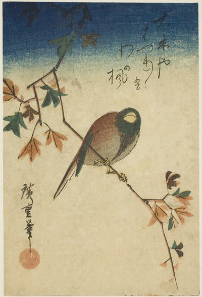 カエデの枝の鳥 作： Utagawa Hiroshige